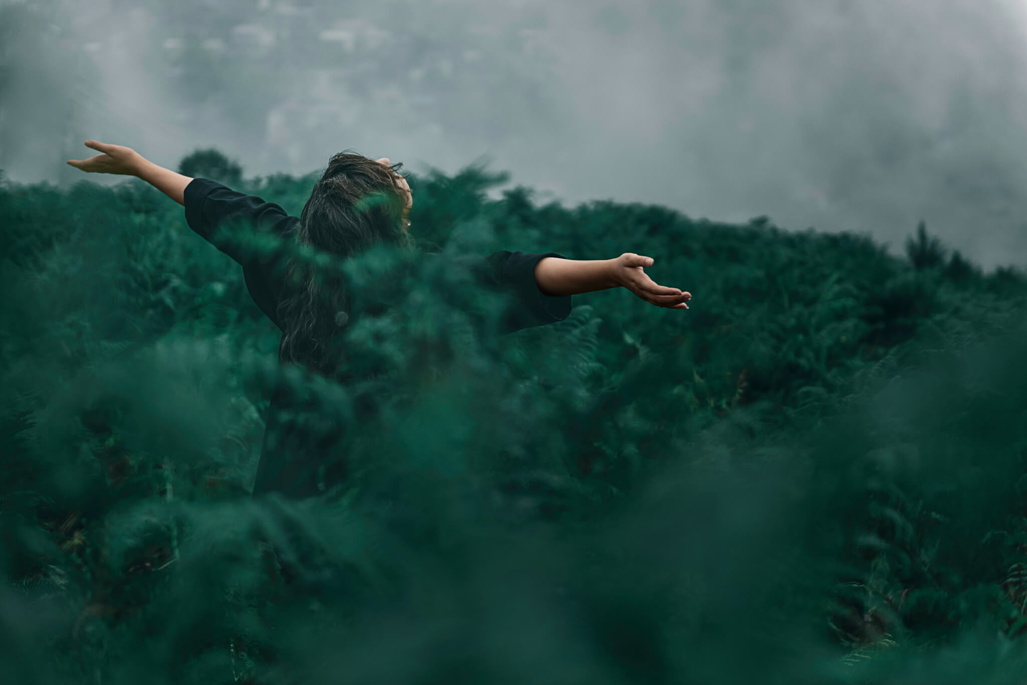 QFY 388: Let yourself be drawn