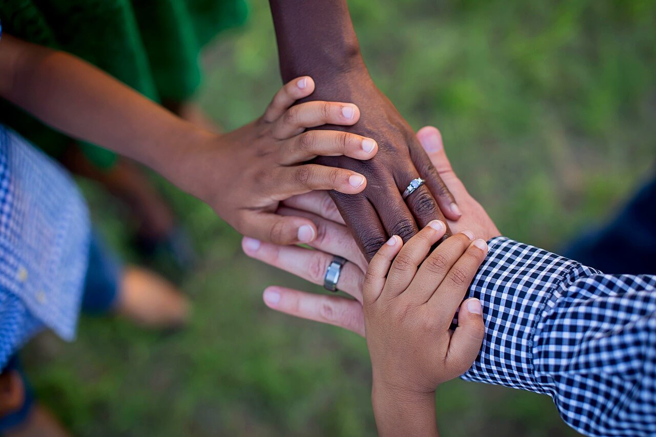 QFY 391: The human family