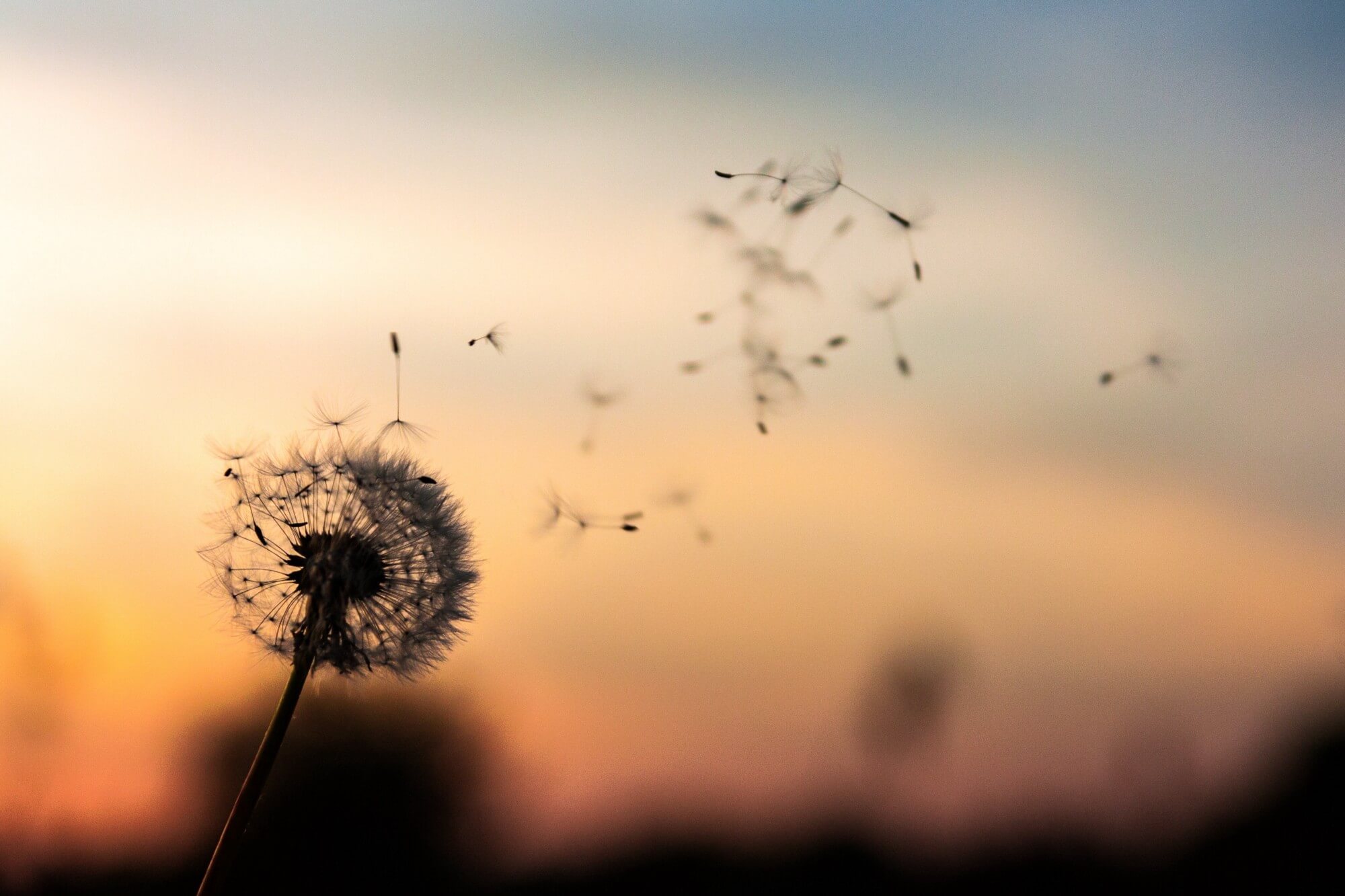 Look for meaning – Quest For You 572