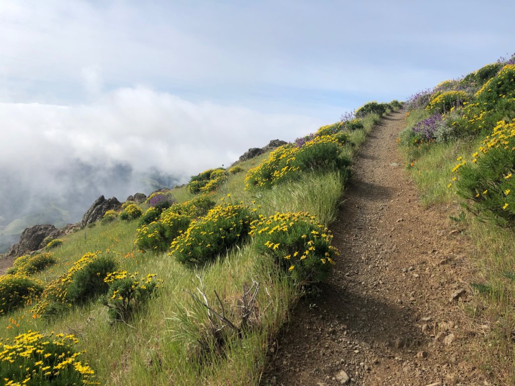 Monthly Quest: Build Clarity, Emotional Resilience, and Self-Trust