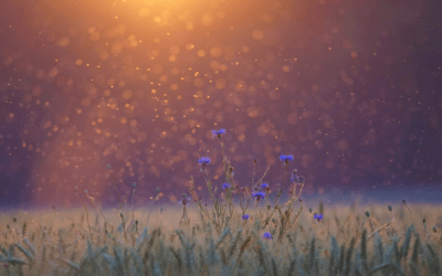 Quiet Transformations