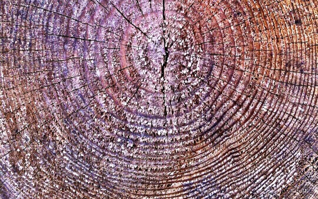 Event: Feb 27 2026 | Heart on Paper: Journaling as a Path to Inner Wisdom